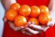 Kandungan Gizi Jeruk Mandarin yang Perlu Anda Ketahui